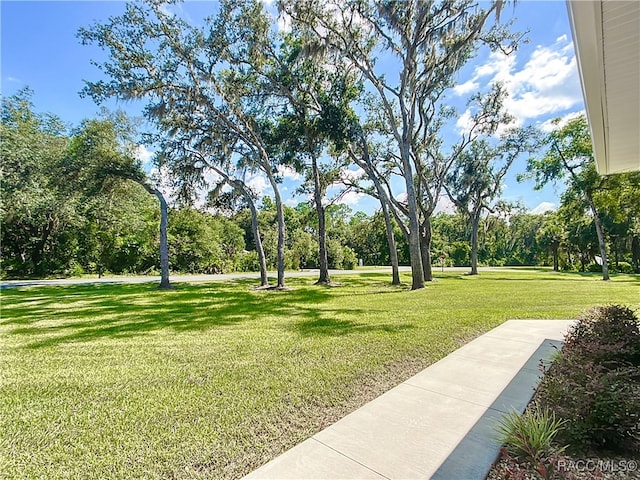 view of community featuring a yard