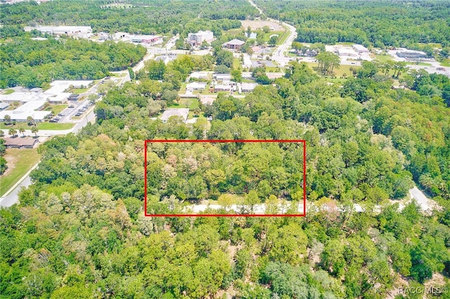 1253 NE 1st St, Crystal River, FL 34429