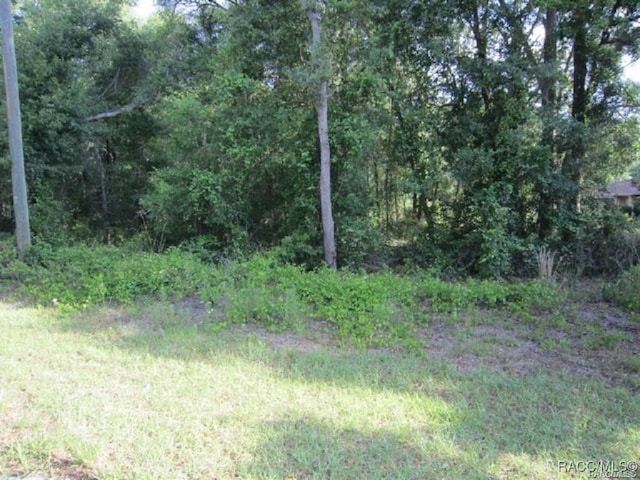 Listing photo 2 for 3893 E Forest Dr, Inverness FL 34453