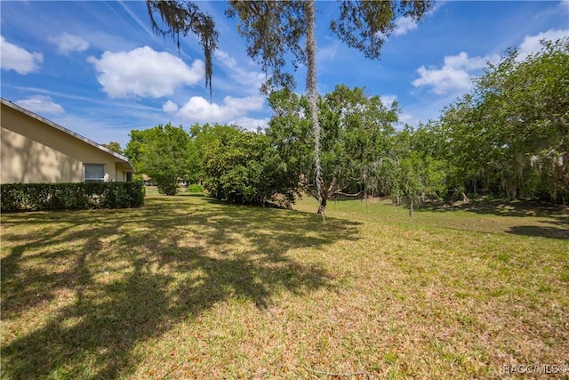 view of yard