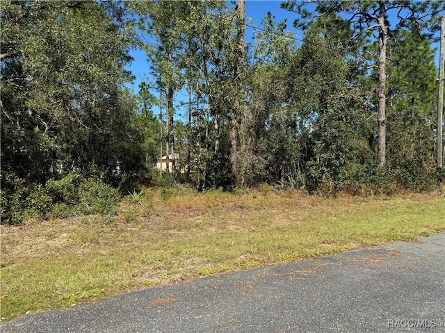 3671 W Galtonia Ln, Citrus Springs, FL 34433 - photo 6