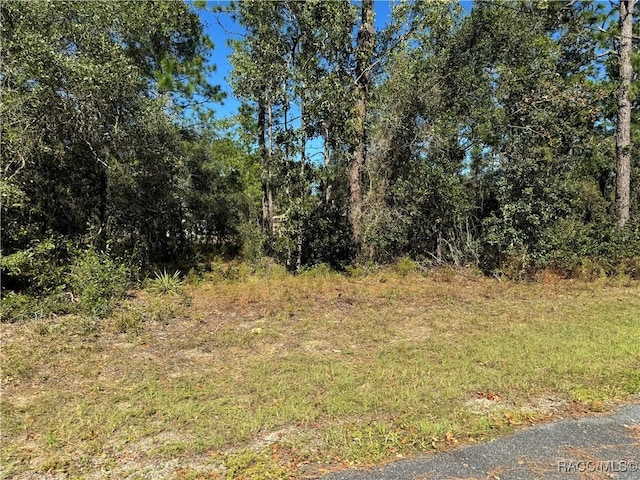 3671 W Galtonia Ln, Citrus Springs, FL 34433 - photo 2