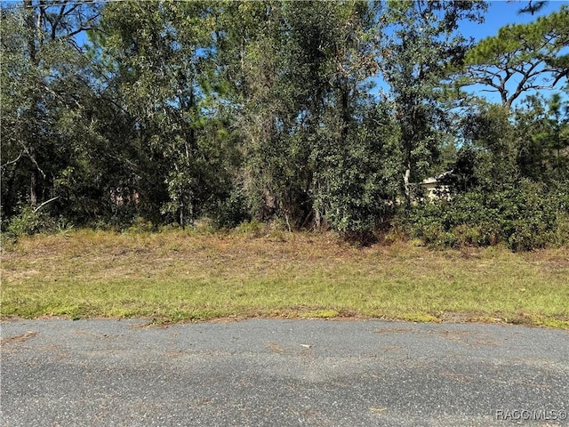 3671 W Galtonia Ln, Citrus Springs, FL 34433 - photo 4