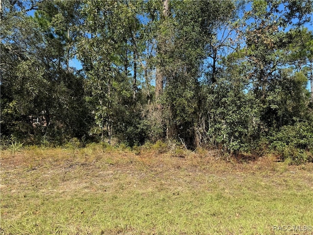 3671 W Galtonia Ln, Citrus Springs FL, 34433 land for sale