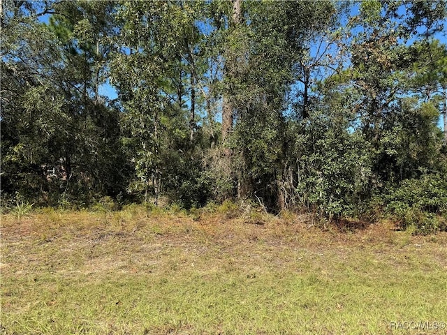 3671 W Galtonia Ln, Citrus Springs, FL 34433 - photo 1