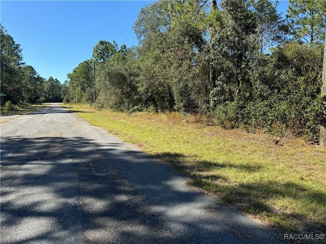 3671 W Galtonia Ln, Citrus Springs, FL 34433 - photo 5