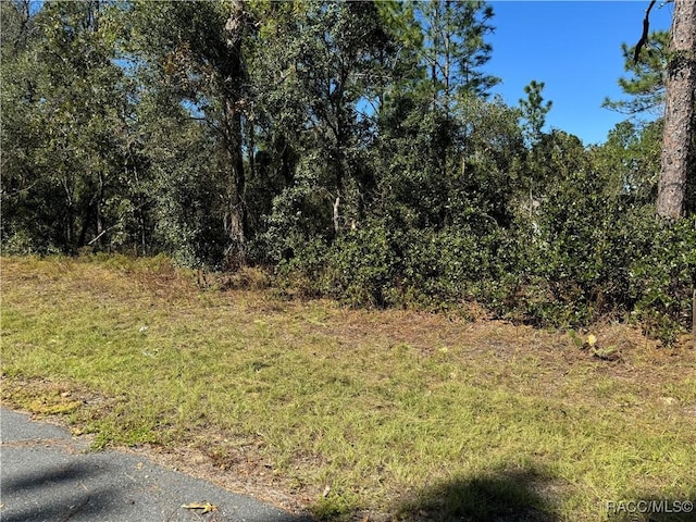 3671 W Galtonia Ln, Citrus Springs, FL 34433 - photo 3