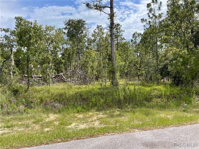 LOT18 NW Geranium Ave, Dunnellon, FL 34431 - photo 1