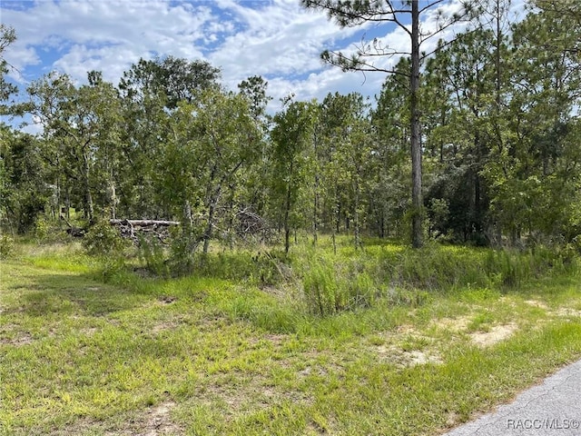 LOT18 NW Geranium Ave, Dunnellon, FL 34431 - photo 2