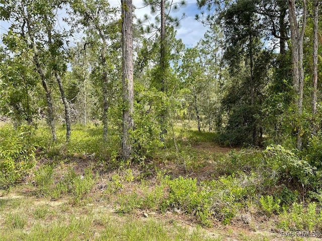LOT18 NW Geranium Ave, Dunnellon, FL 34431 - photo 3
