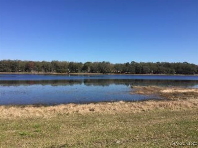 LOT18 NW Geranium Ave, Dunnellon, FL 34431 - photo 4