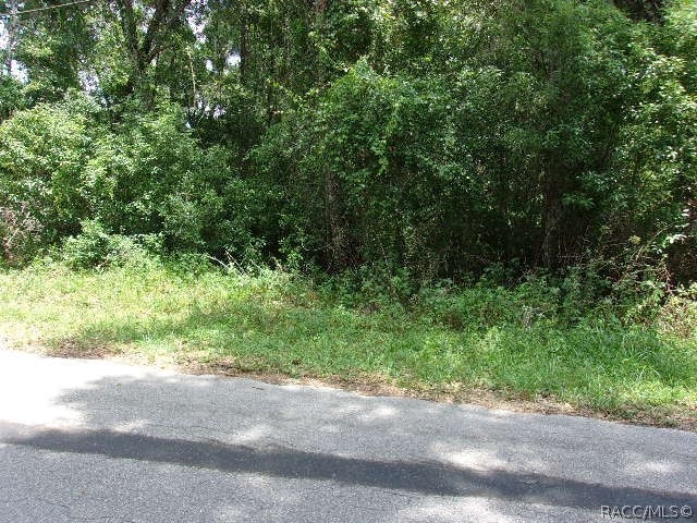 4979 S Romans Ave, Inverness FL, 34452 land for sale