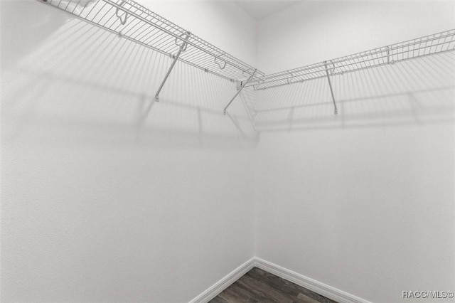 walk in closet featuring hardwood / wood-style floors