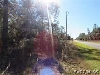 Listing photo 2 for 0000 SW Ivy Pl, Dunnellon FL 34431