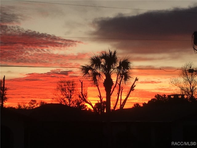 view of nature at dusk