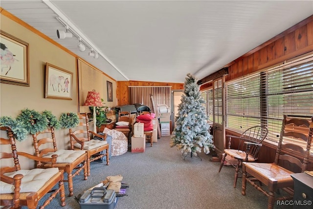 4200 W Breckenridge Ct, Beverly Hills, FL 34465 - sunroom / solarium with rail lighting