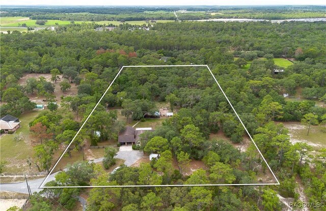 4200 W Breckenridge Ct, Beverly Hills, FL 34465 - view of property location with a heavily wooded area and property parcel outlined