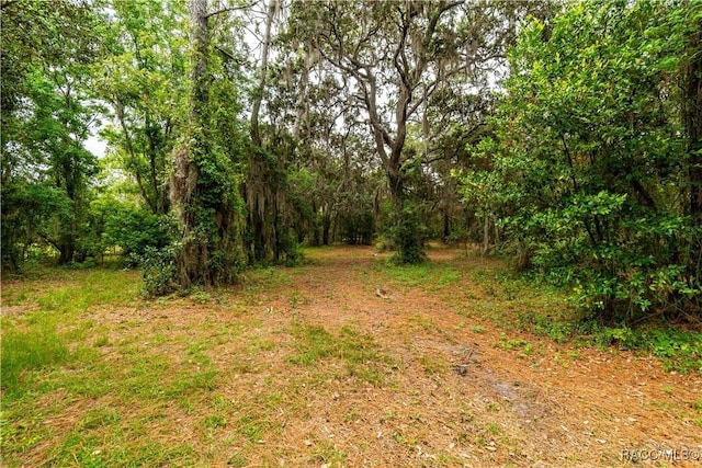 4200 W Breckenridge Ct, Beverly Hills, FL 34465 - view of wooded area
