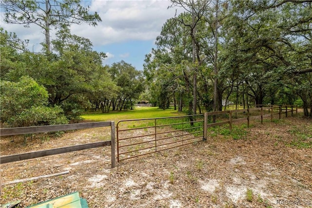 4200 W Breckenridge Ct, Beverly Hills, FL 34465 - view of gate