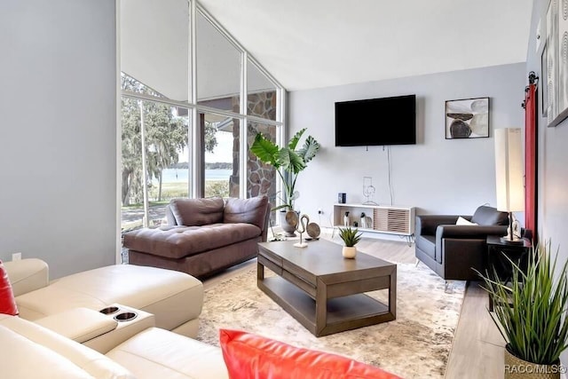 1316 Lake Ariana Blvd, Auburndale, FL 33823 - living area with floor to ceiling windows and light wood finished floors