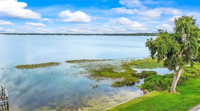 1316 Lake Ariana Blvd, Auburndale, FL 33823 - water view