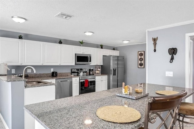 1316 Lake Ariana Blvd, Auburndale, FL 33823 - kitchen featuring appliances with stainless steel finishes, a sink, a textured ceiling, crown molding, and white cabinetry