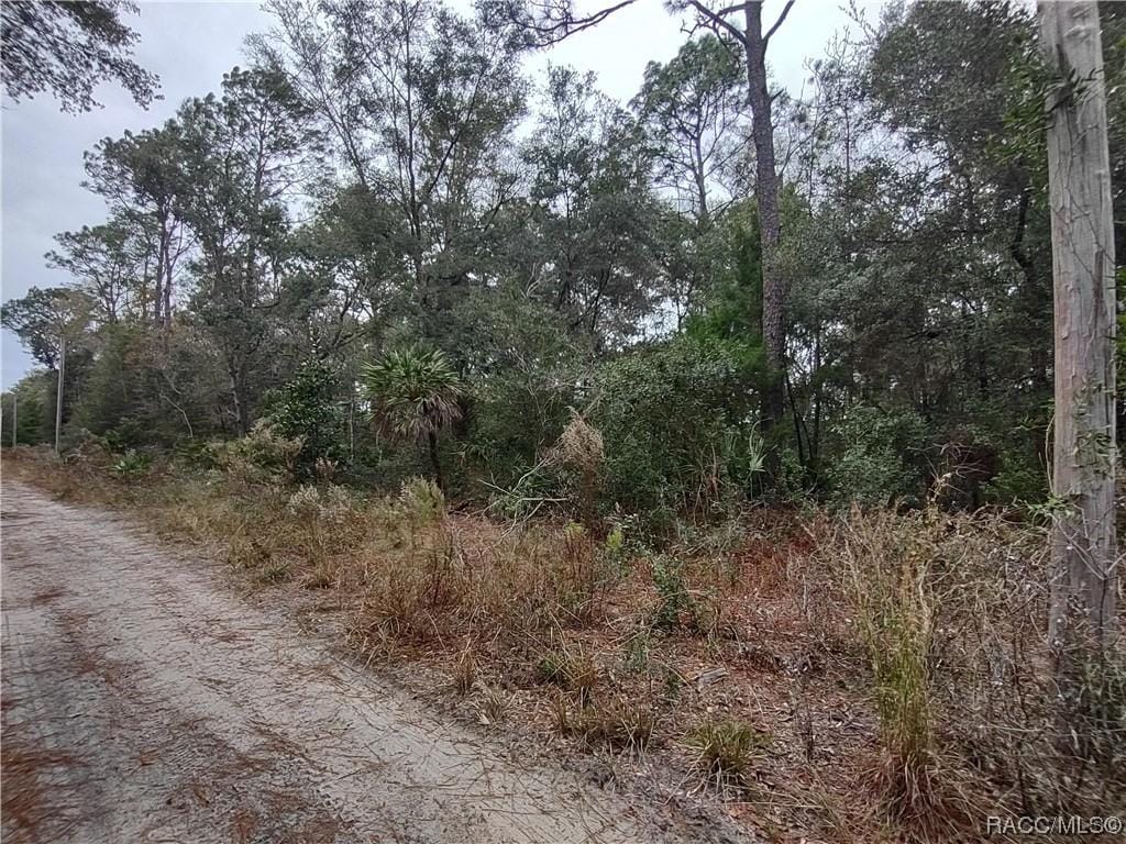 9785 W Watermelon Ln, Crystal River, FL 34428