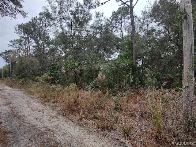 9785 W Watermelon Ln, Crystal River, FL 34428