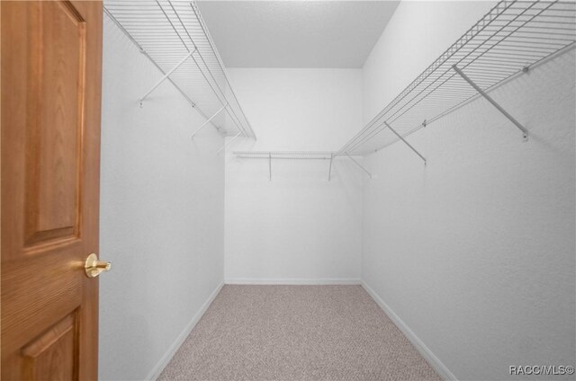 3565 S Oakdale Ter, Inverness, FL 34452 - spacious closet with carpet flooring