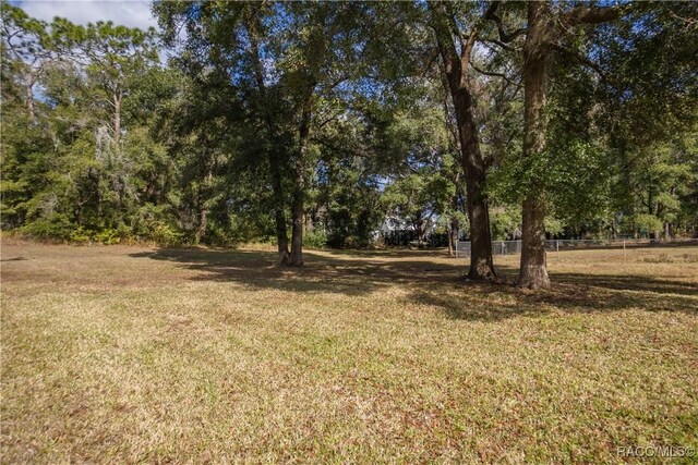 3565 S Oakdale Ter, Inverness, FL 34452 - view of yard