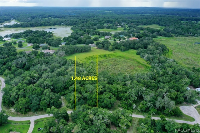 4230 S Kenvera Loop, Inverness FL, 34450 land for sale