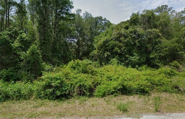 9296 N Black Oak Way, Crystal River FL, 34428 land for sale