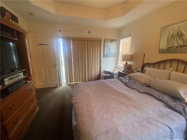 carpeted bedroom with a raised ceiling