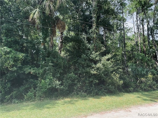 1522 N Rock Cress Path, Crystal River, FL 34429 - photo 5