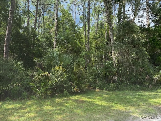 1522 N Rock Cress Path, Crystal River, FL 34429 - photo 6