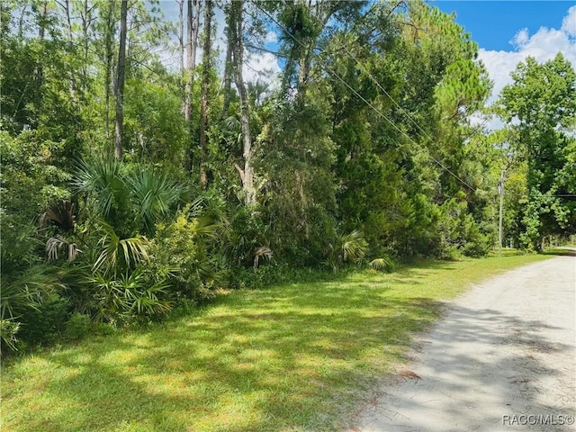 1522 N Rock Cress Path, Crystal River, FL 34429 - photo 1