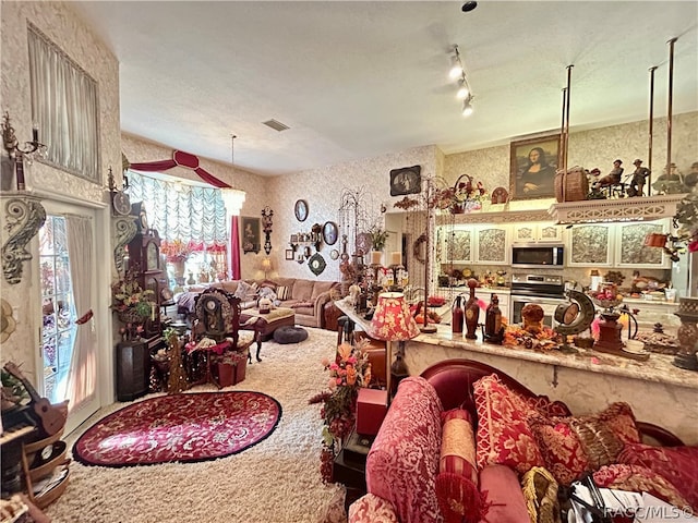 living room featuring carpet flooring, a textured ceiling, and track lighting