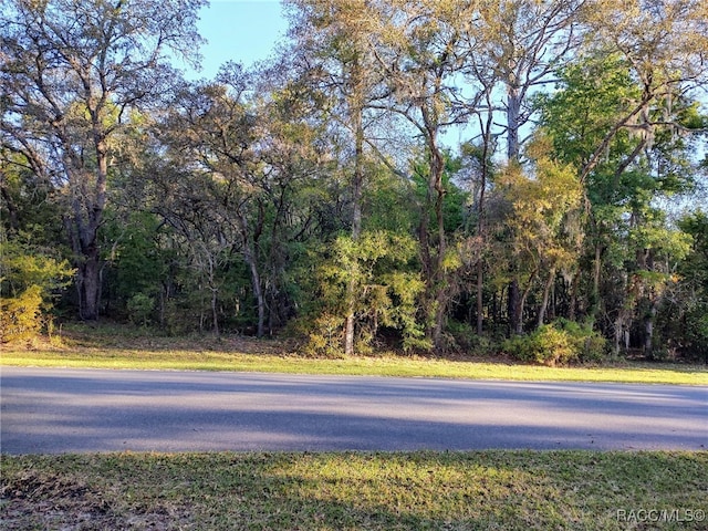 421 W Chase St, Hernando FL, 34442 land for sale