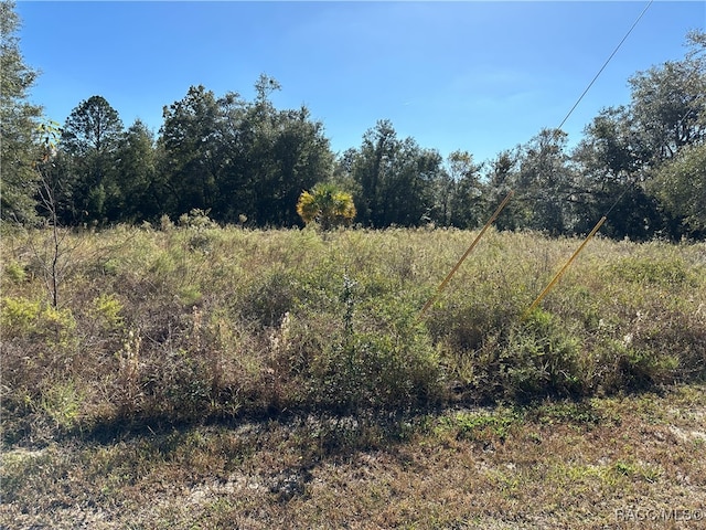 Listing photo 2 for 00 SW N Beach Rd, Dunnellon FL 34431