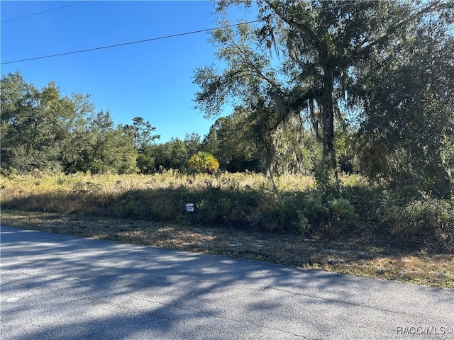 00 SW N Beach Rd, Dunnellon FL, 34431 land for sale