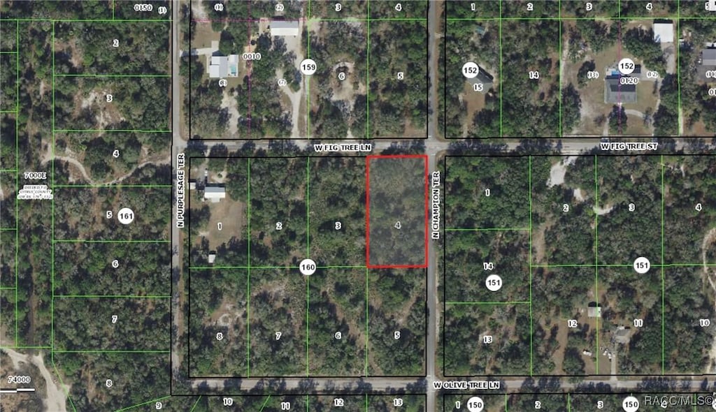 12076 W Fig Tree Ln, Crystal River, FL 34428