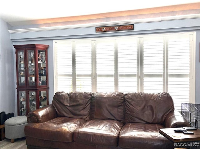 living area with plenty of natural light and wood finished floors