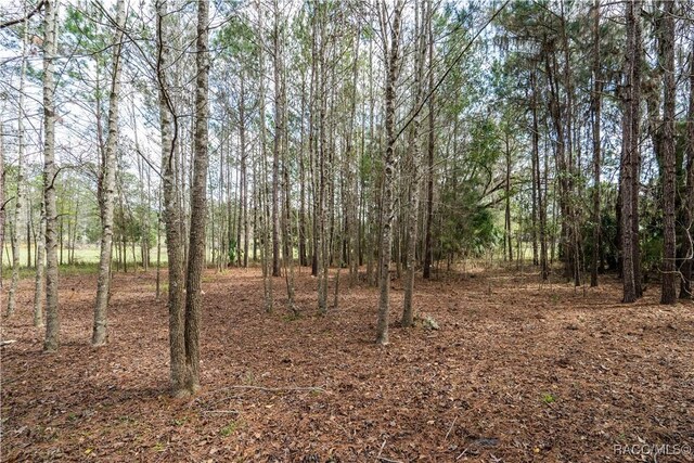 18601 NW 160th Ave, Williston, FL 32696