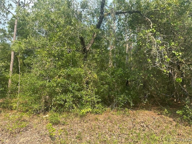 120 N Indianapolis Ave, Hernando, FL 34442