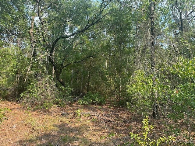 120 N Indianapolis Ave, Hernando, FL 34442