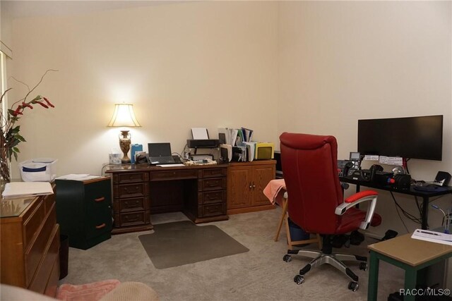 3033 N Chandler Dr, Hernando, FL 34442 - office space featuring light colored carpet