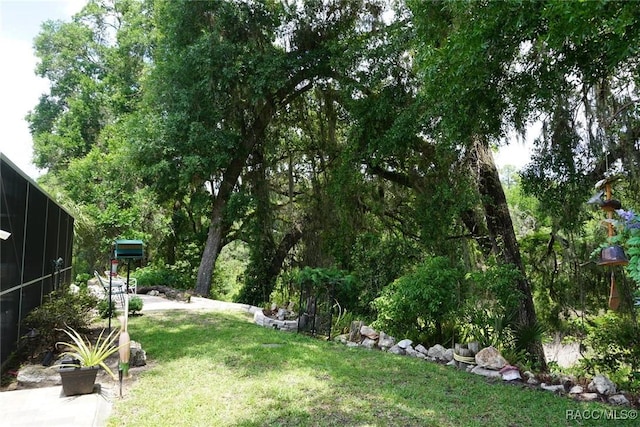 3033 N Chandler Dr, Hernando, FL 34442 - view of green lawn