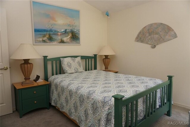 3033 N Chandler Dr, Hernando, FL 34442 - view of carpeted bedroom