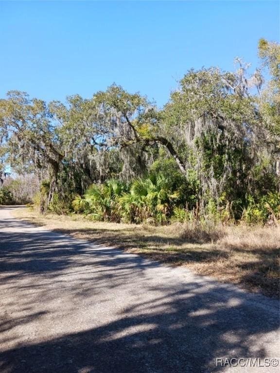 1361 N Point Lonesome Rd, Inverness FL, 34453 land for sale