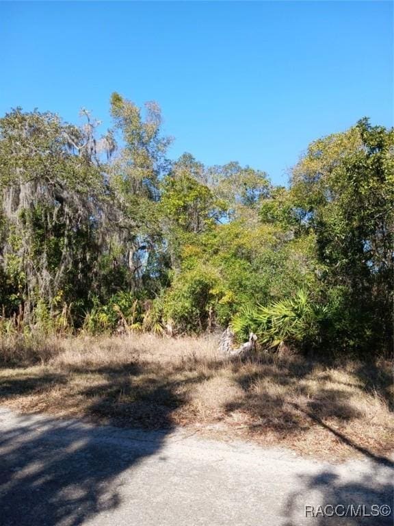 Listing photo 3 for 1361 N Point Lonesome Rd, Inverness FL 34453